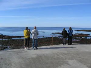 group.by.sea