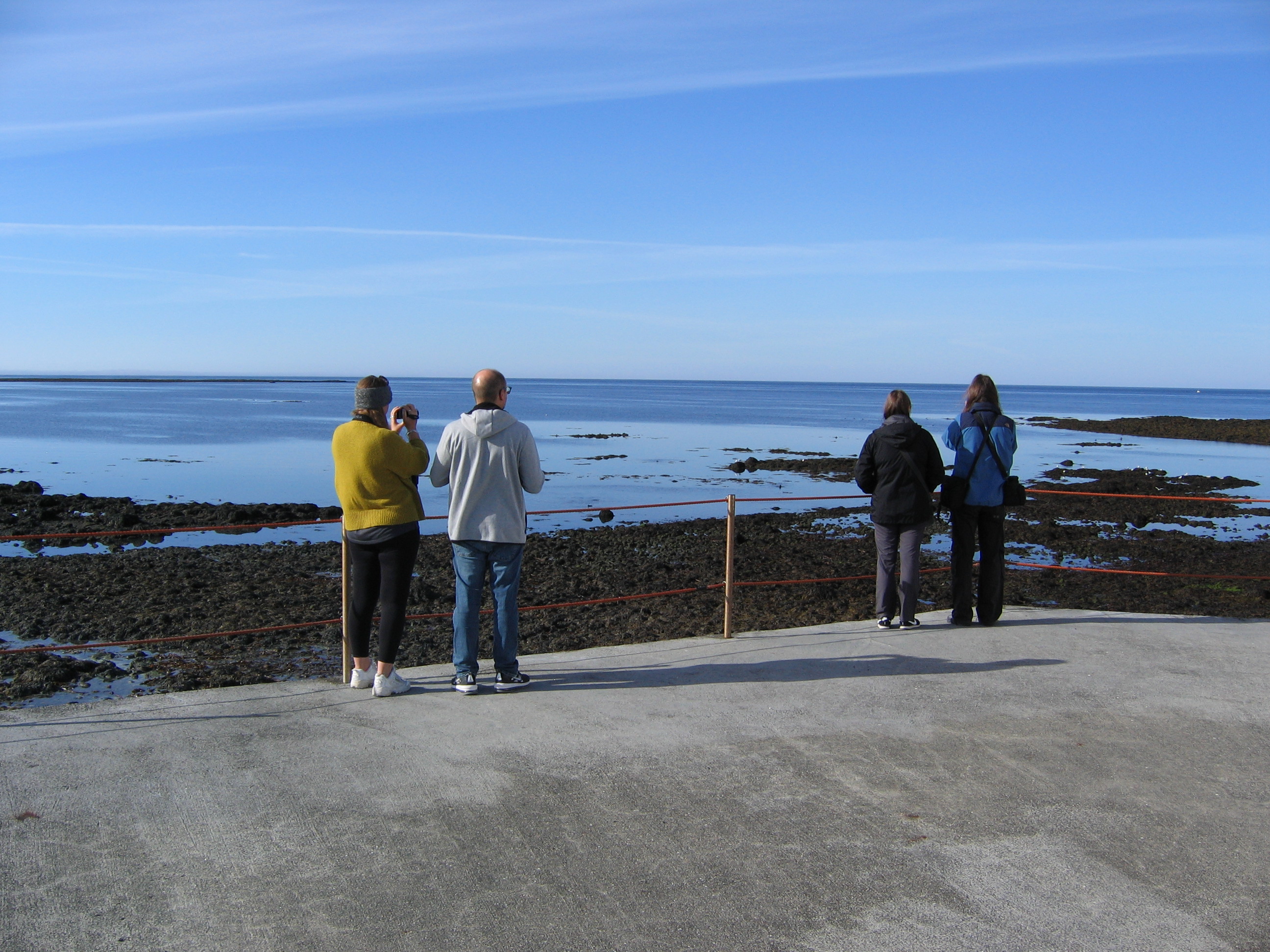 Líffræði Líffræði