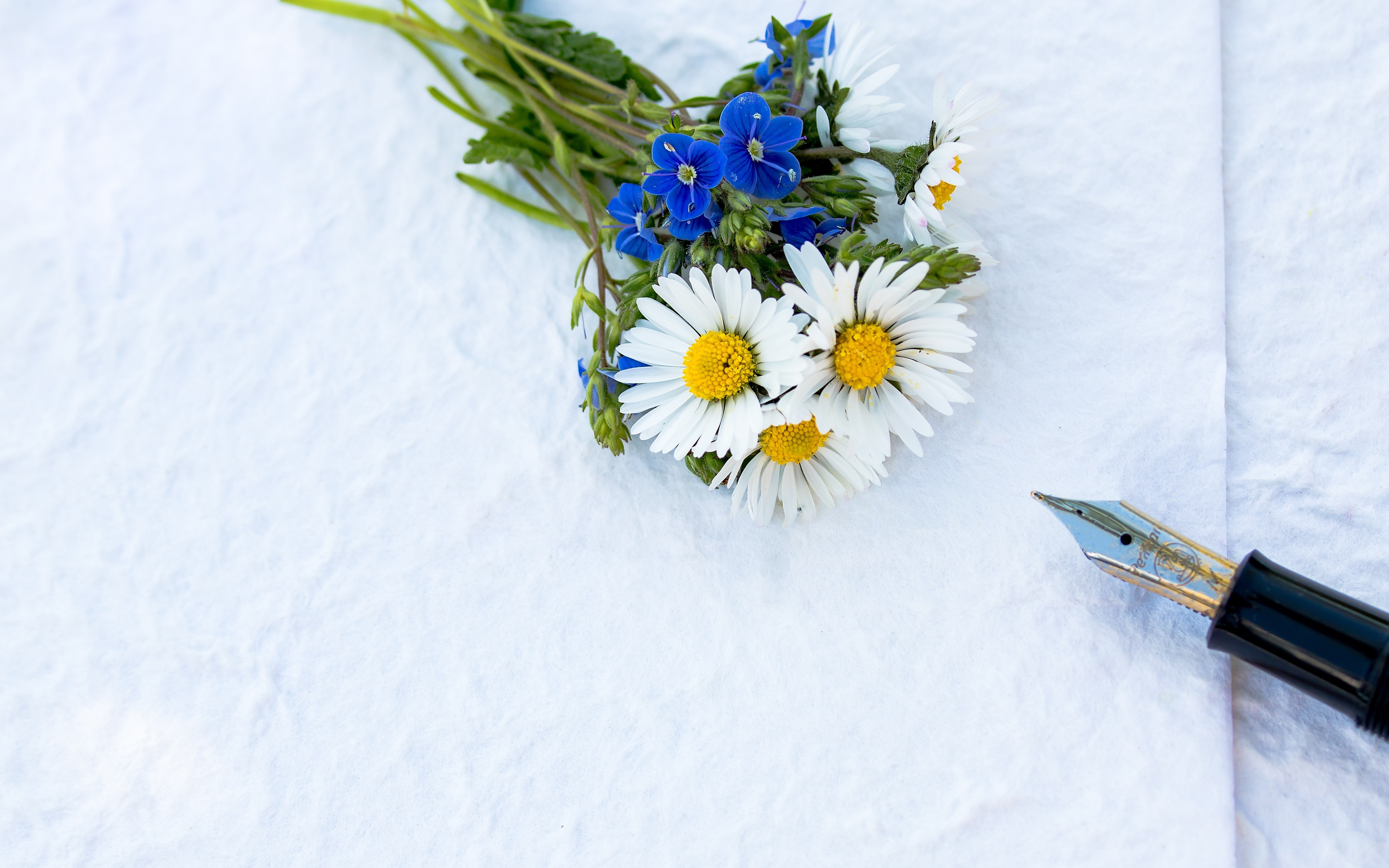 bloom-blooming-blossom-433468.jpg bloom-blooming-blossom-433468.jpg